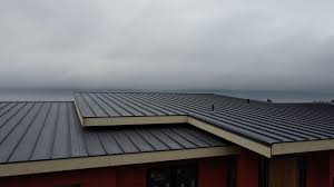 Best Metal Roofing Installation  in Princeton, MO